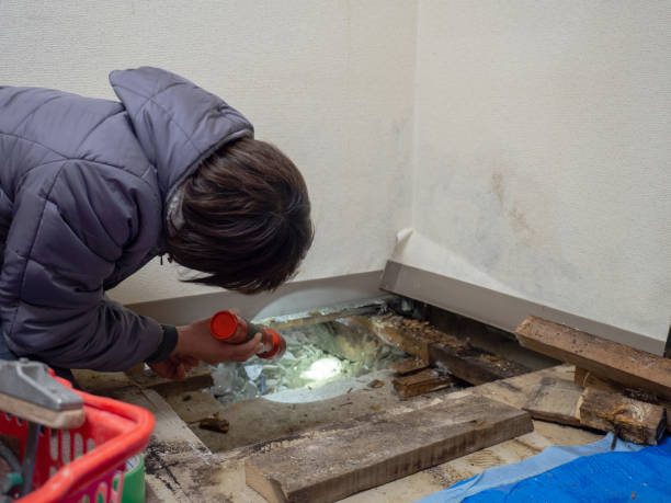 Best Airborne Mold Testing  in Tuscarawas, OH