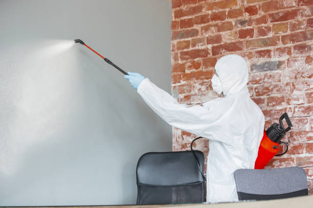 Best Dehumidification Services  in Tuscarawas, OH