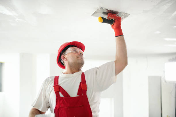 Best Black Mold Removal  in Tuscarawas, OH