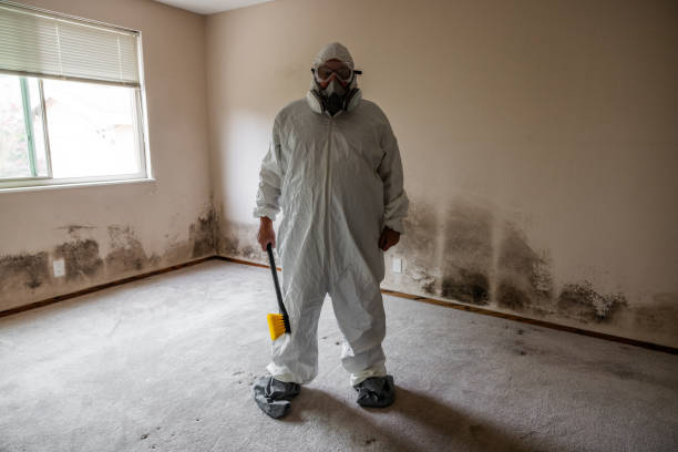 Best Attic Mold Removal  in Tuscarawas, OH