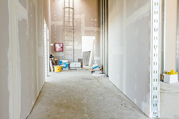 Best Mold Prevention Services  in Tuscarawas, OH